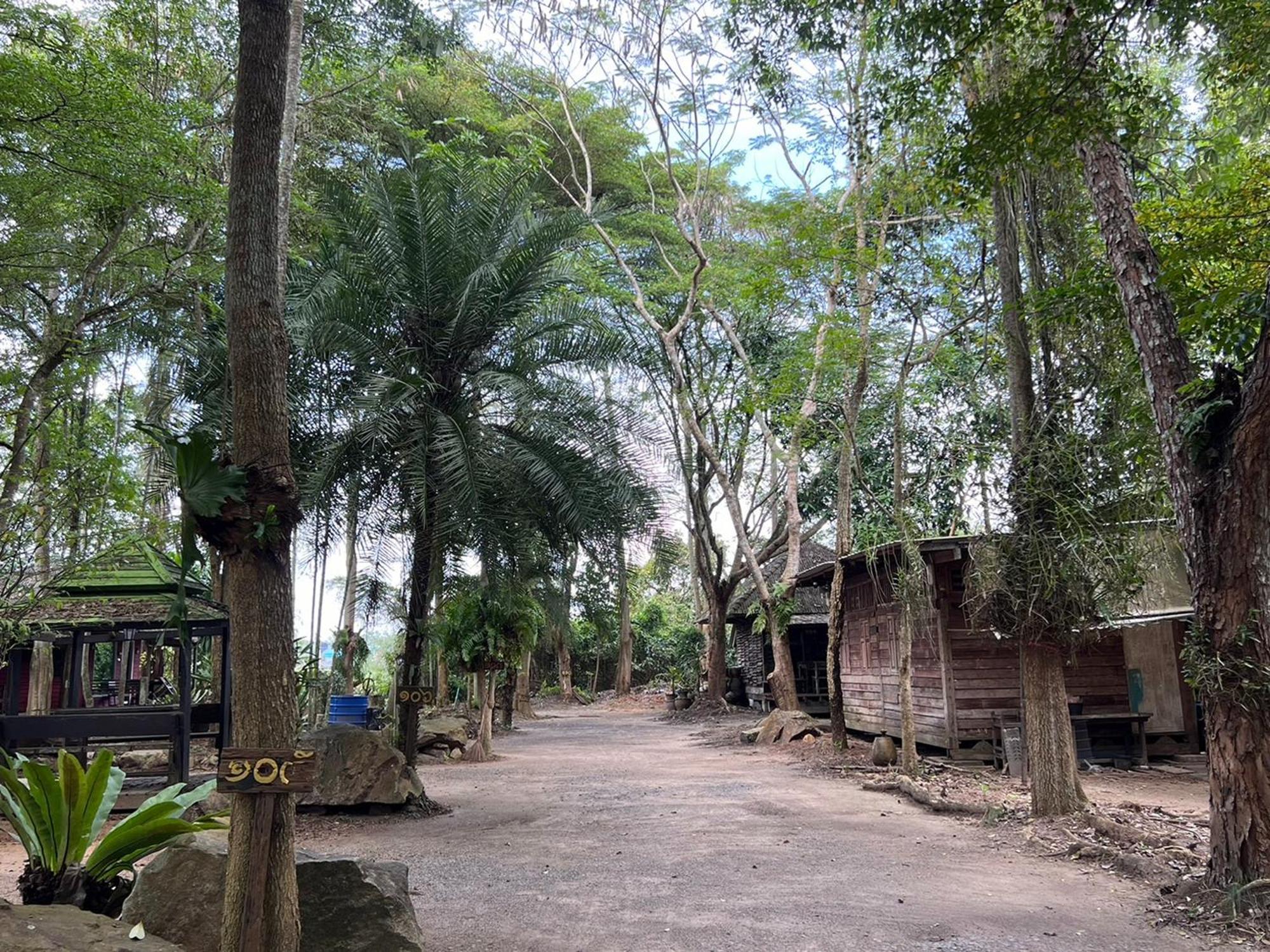 Pang Mai Resort Szongkhla Kültér fotó
