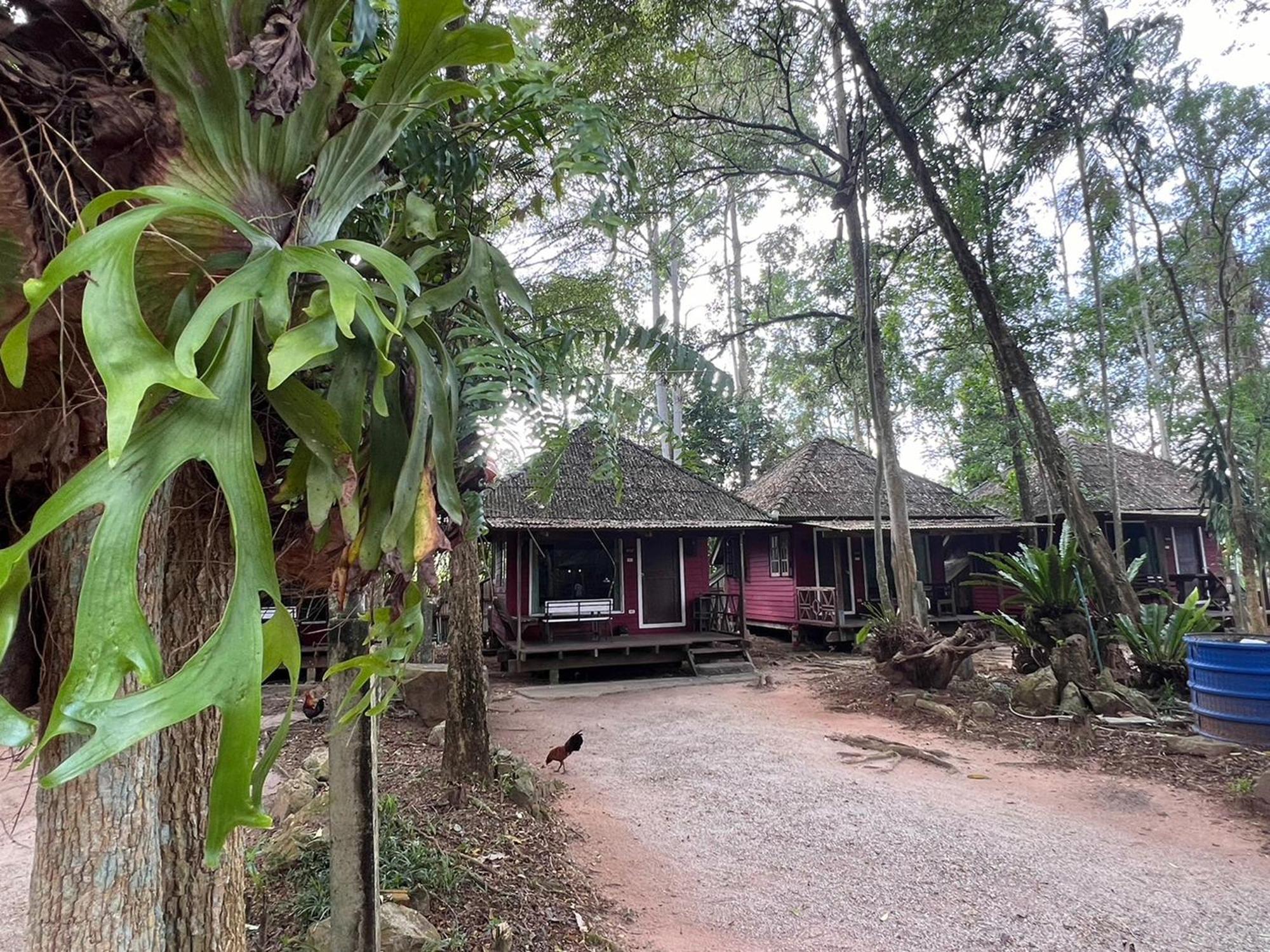 Pang Mai Resort Szongkhla Kültér fotó