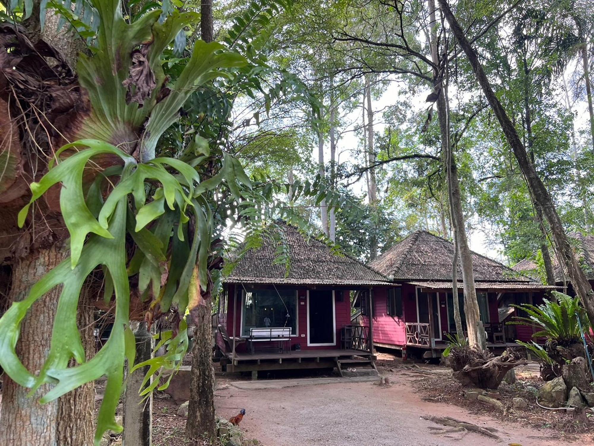 Pang Mai Resort Szongkhla Kültér fotó