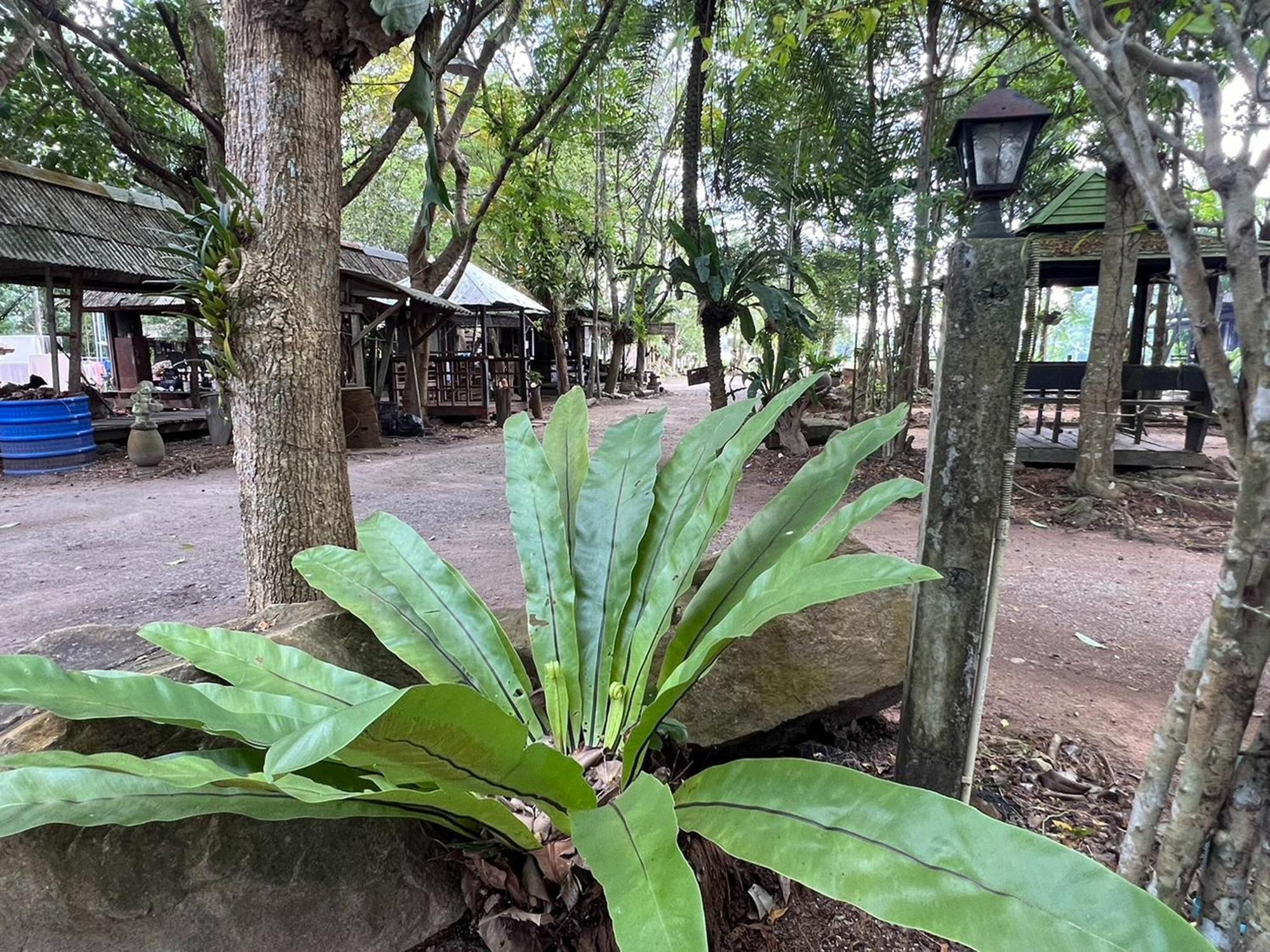 Pang Mai Resort Szongkhla Kültér fotó